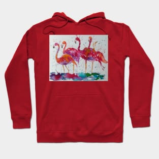 Pink Flamingos Hoodie